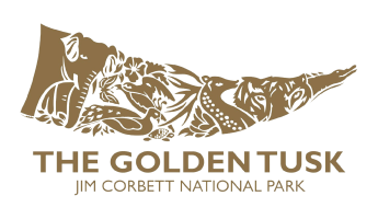 Golden Tusk
